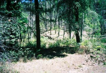 Photo of Spruce Ridge Trail