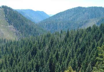 Photo of Silver Peak-Hobson Horn Trail