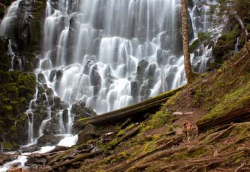 Photo of Ramona Falls Trail