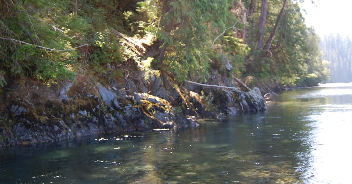 North Fork Campground, Florence Roadtrippers