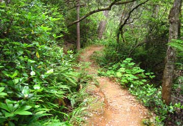 Photo of West Myrtle Creek Trail