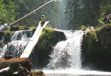 Photo of Lemolo Falls Trail