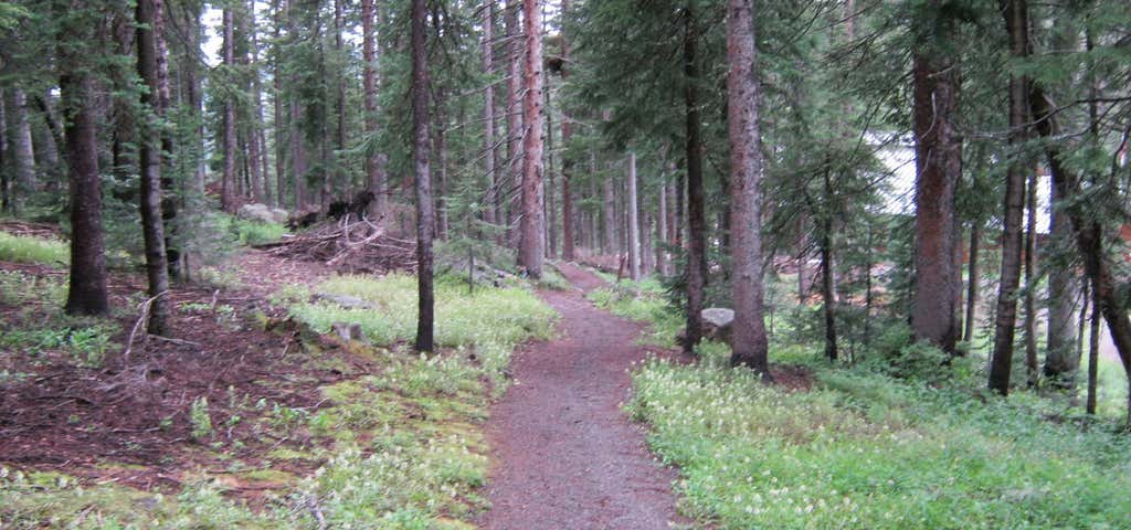 Photo of Discovery Point Trail