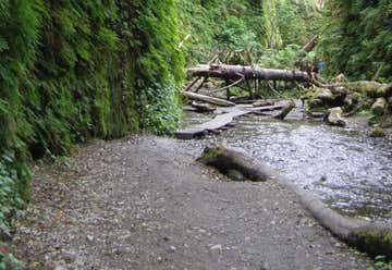 Photo of Smithe Redwoods State Natural Reserve