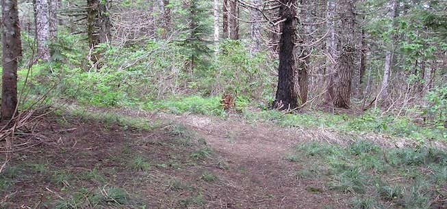 Photo of McIntyre Ridge Trail