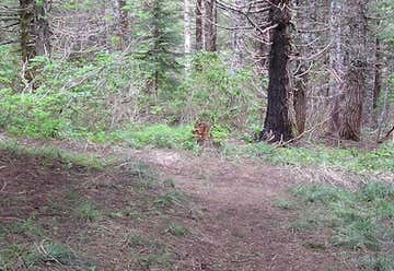 Photo of McIntyre Ridge Trail