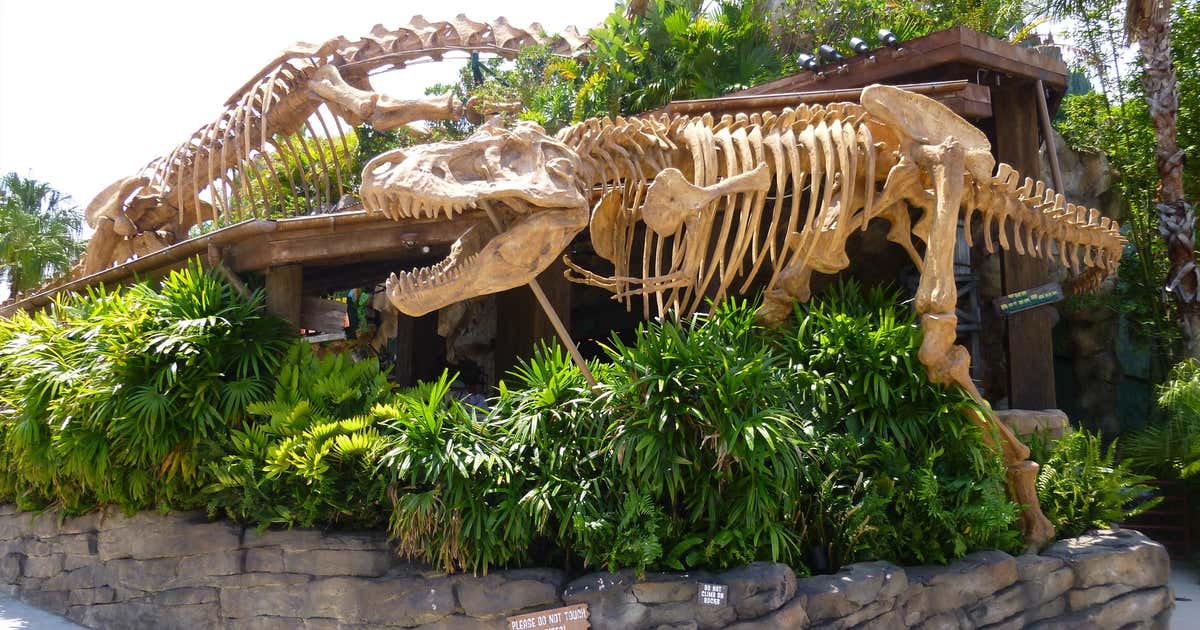 TRex Cafe, Lake Buena Vista Roadtrippers