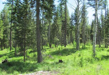 Photo of Meadow Creek Trail