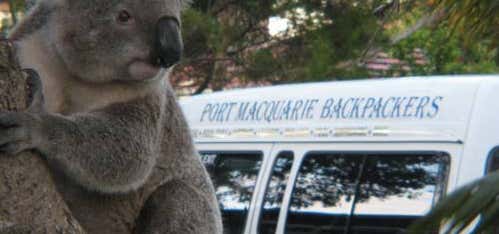 Photo of Port Macquarie Backpackers