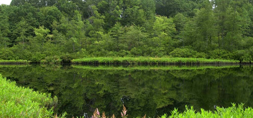 Photo of Mosquito Creek Lake Wildlife Area