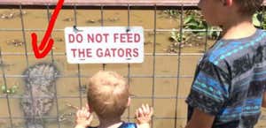 East Texas Zoo & Gator Park