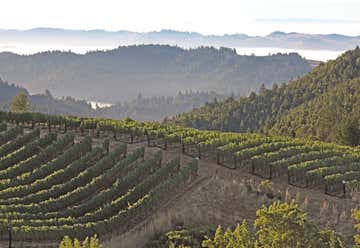 Photo of Fort Ross Vineyards