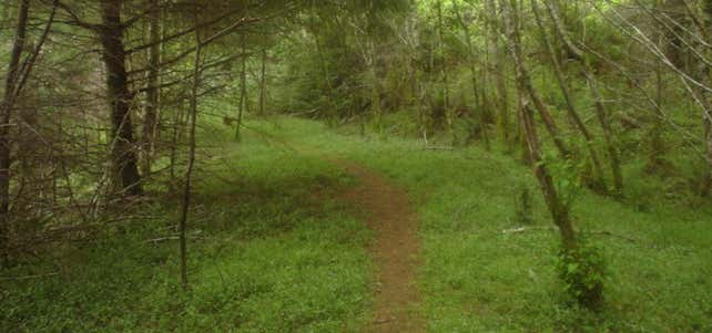 Photo of Bear Creek Trail