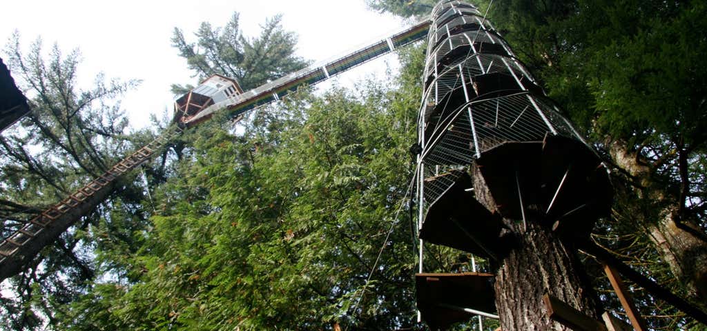 Photo of Cedar Creek Treehouse at Mt. Rainier