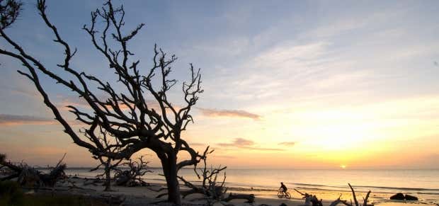 Photo of Driftwood Beach