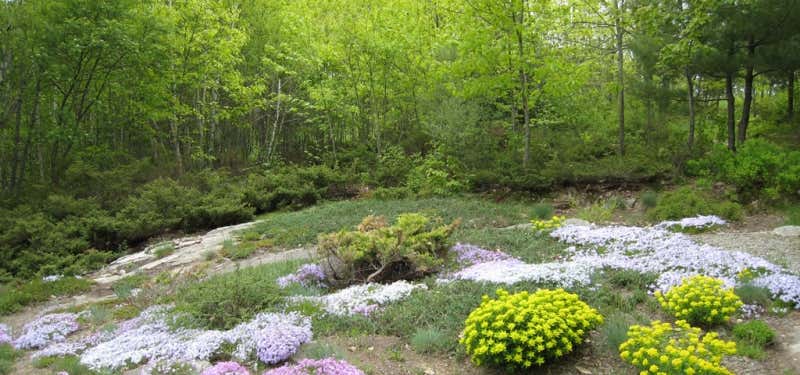 Photo of The Viles Arboretum