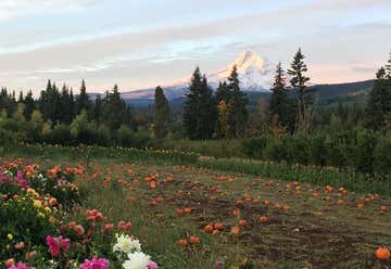 Photo of Mt. View Orchards Fruitstand
