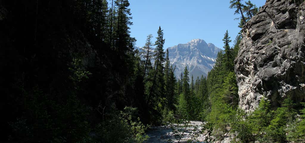 Photo of Cougar Creek Trail