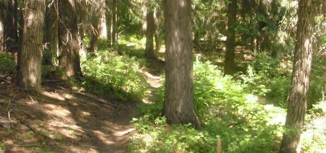 Photo of Elk Flat Trail