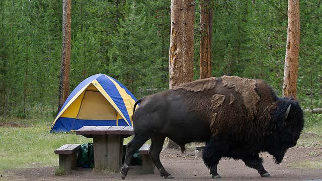 Madison Campground West Yellowstone Mt Roadtrippers