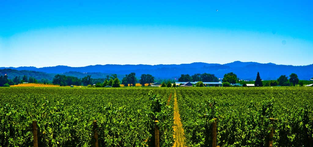 Photo of Alexander Valley Wine Growers
