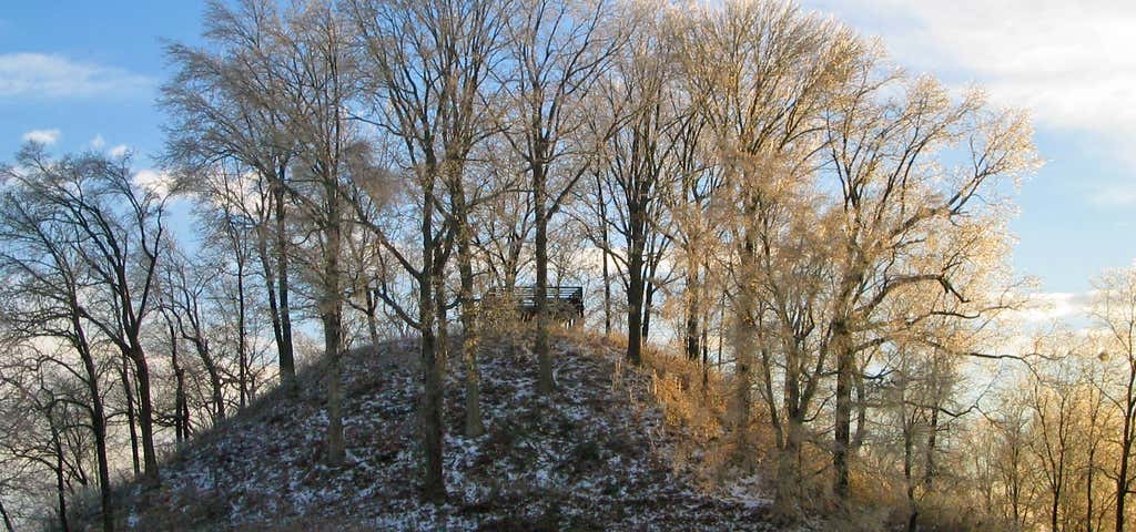Photo of Pinson Mounds State Park