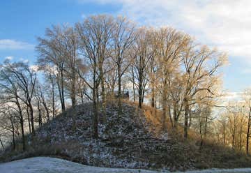 Photo of Pinson Mounds State Park