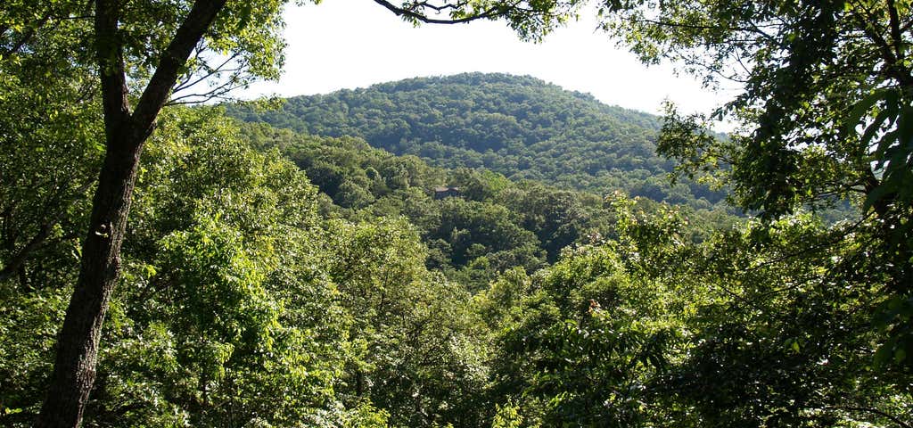 Photo of Huckleberry Mountain Trail