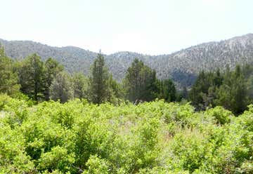 Photo of Boulder Creek Trail