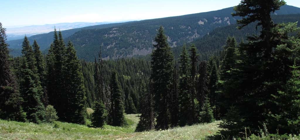 Photo of Lookout Mountain Trail