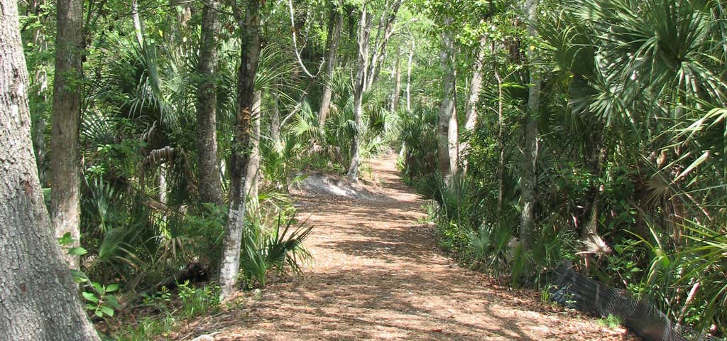 Photo of Corral Swamp Trail