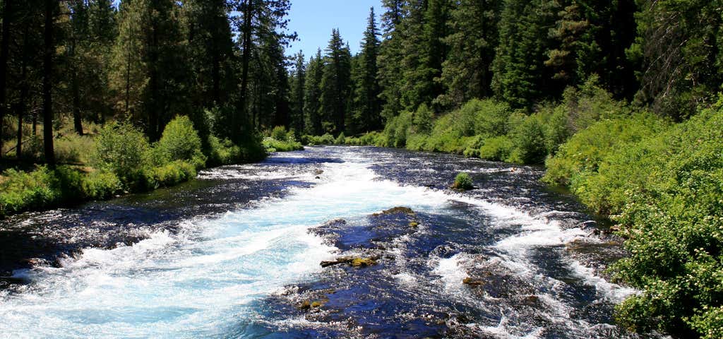 Photo of Metolius River Trail