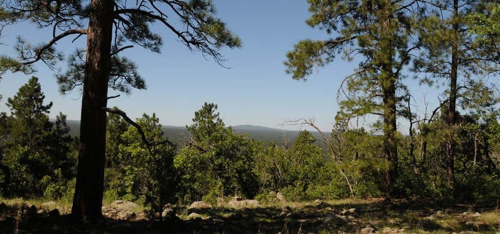Escape to Arizona's Hidden Gem: Blue Crossing Campground