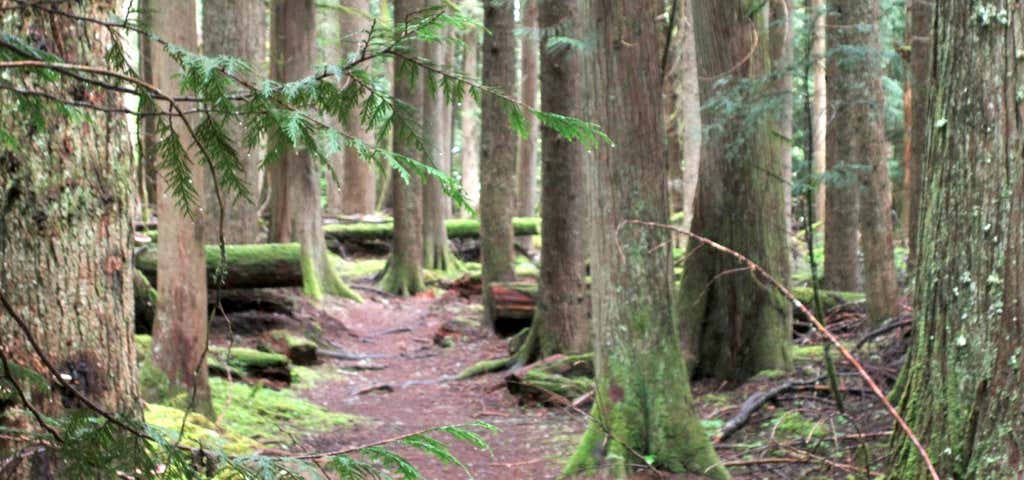 Photo of Skookum Trail