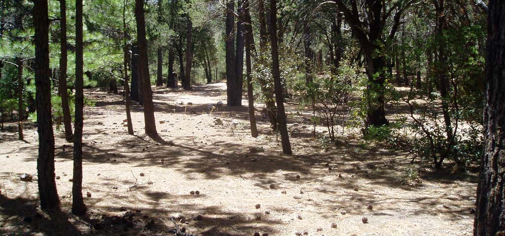 Photo of South Fork Campground