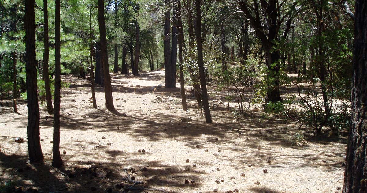 South Fork Campground, Eagar Roadtrippers