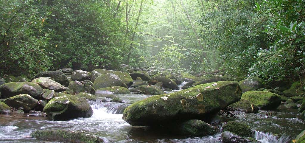 Photo of Cherokee National Forest