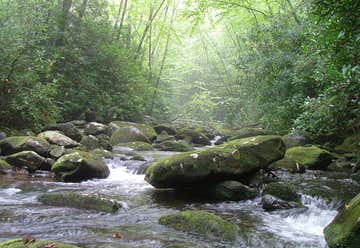 Photo of Cherokee National Forest