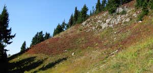 Wenatchee Trail