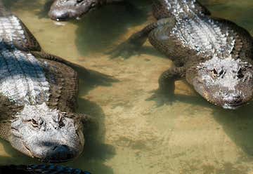 Photo of Arkansas Alligator Farm & Petting Zoo