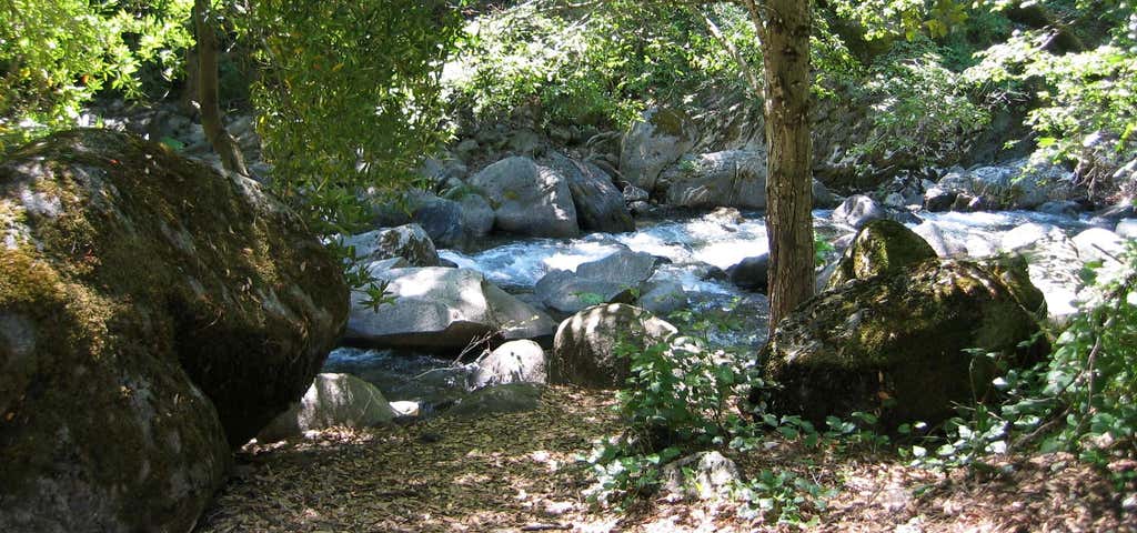 Photo of Little North Fork Campground