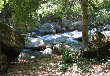 Photo of Little North Fork Campground
