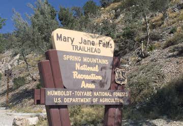 Photo of Mount Charleston Mary Jane