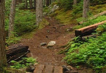 Photo of Golden Stairs Trail
