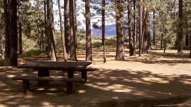 McGill Campground Frazier Park CA Roadtrippers
