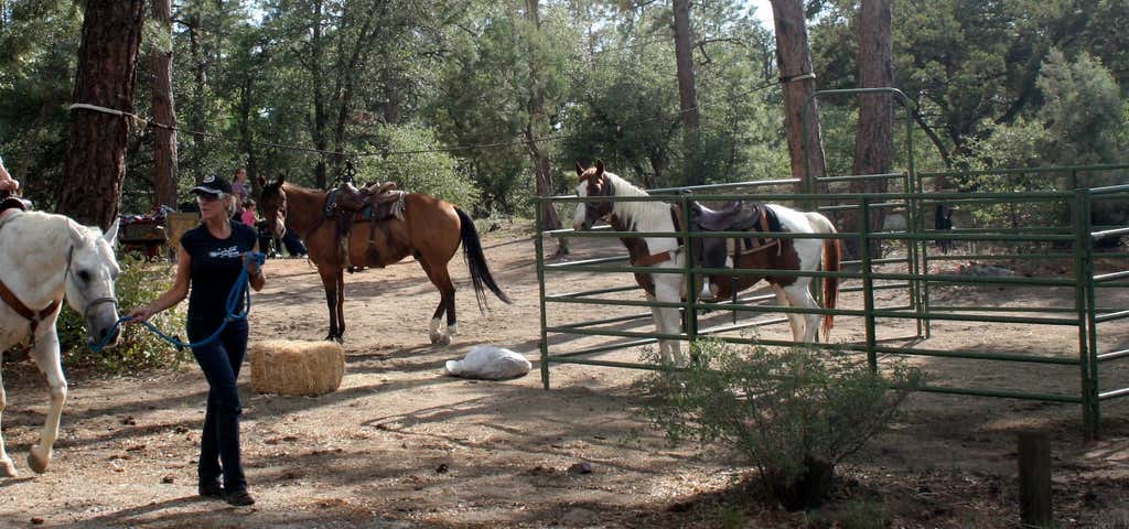 Photo of Groom Creek Equestrian Campground