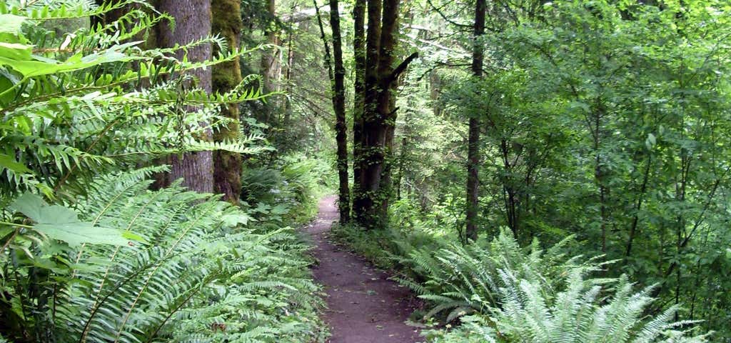 Photo of Nine Mile Ridge Trail