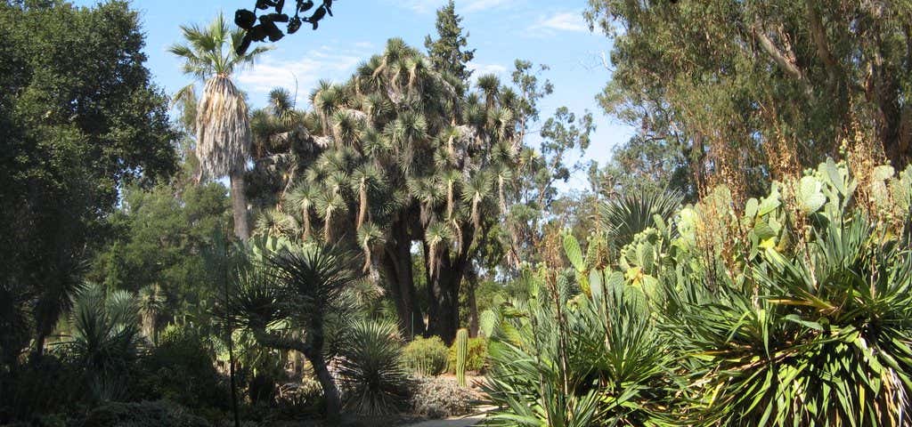 Photo of Arizona Cactus Garden