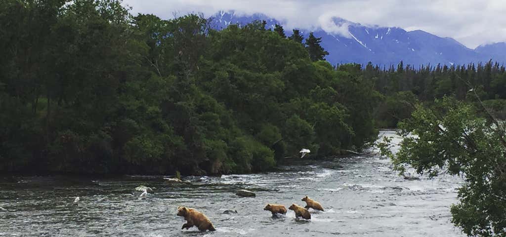 Photo of Alaska's Gold Creek Lodge