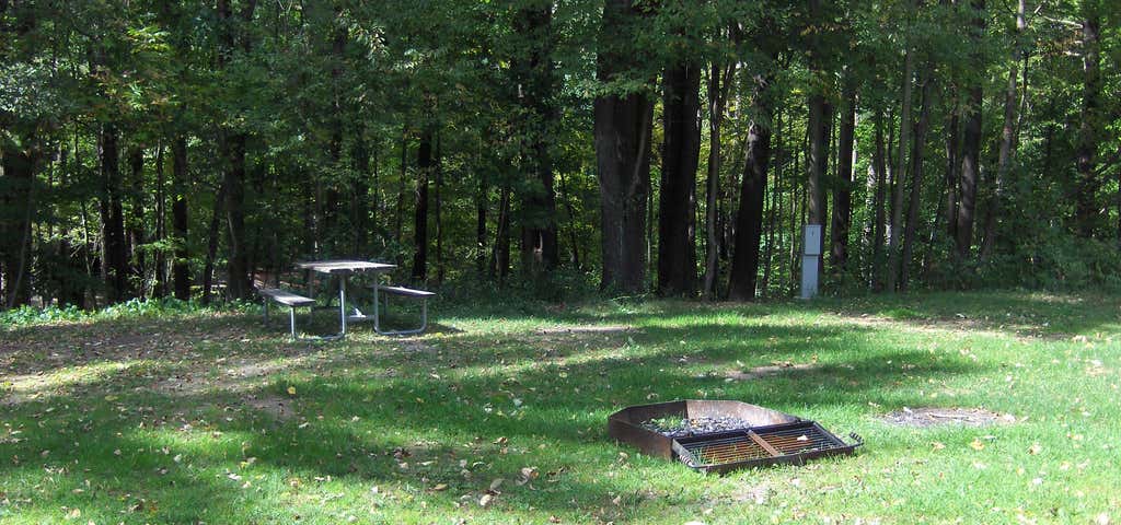 Photo of Chenango Valley State Park Campground